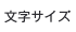 文字サイズ